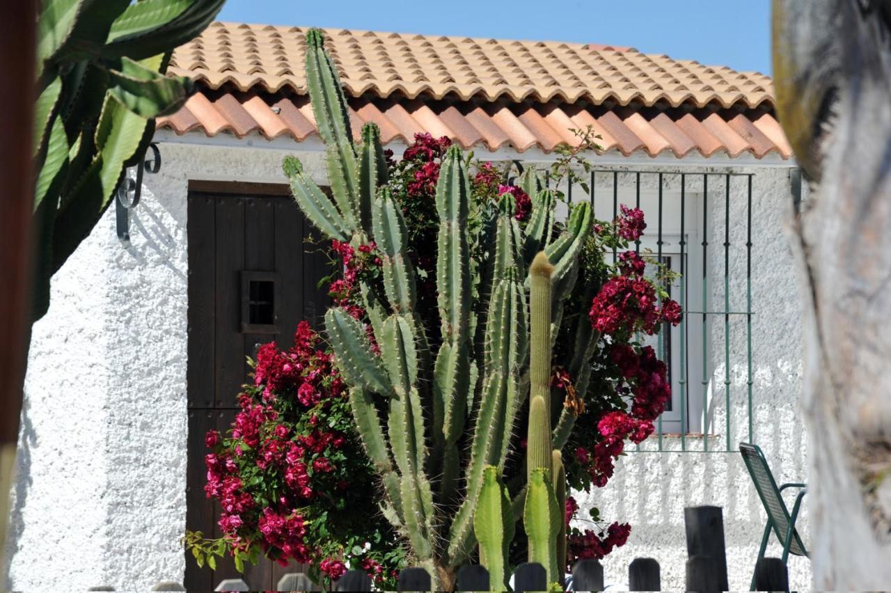 Cortijo Flamingos Appartement Chiclana de la Frontera Buitenkant foto